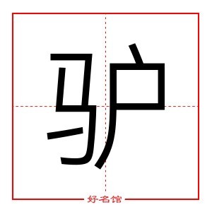 驴