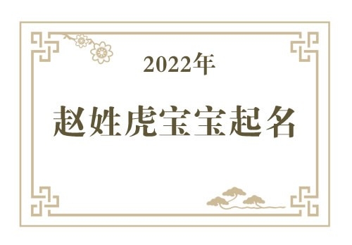 2022年赵姓虎宝宝取名大全