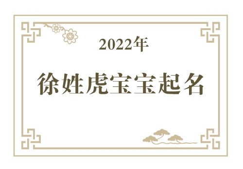 2022年徐姓虎宝宝取名大全