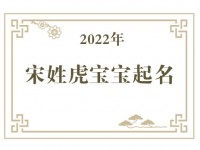 2022年宋姓虎宝宝取名大全