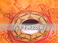 八字十神伤官详解