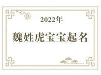 2022年魏姓虎宝宝取名大全