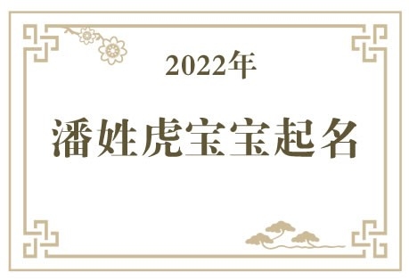 2022年潘姓虎宝宝取名大全