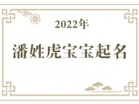 2022年潘姓虎宝宝取名大全