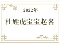 2022年杜姓虎宝宝取名大全