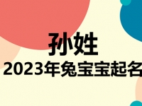 孙姓兔宝宝男孩女孩取名大全2023年