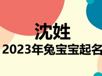 沈姓兔宝宝男孩女孩取名大全2023年