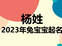 杨姓兔宝宝男孩女孩取名大全2023年