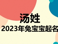 汤姓兔宝宝男孩女孩取名大全2023年