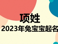 项姓兔宝宝男孩女孩取名大全2023年