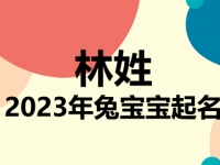 林姓兔宝宝男孩女孩取名大全2023年