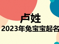 卢姓兔宝宝男孩女孩取名大全2023年