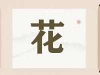 带花字的店铺名字