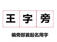 带王字旁的字有哪些 王字旁取名寓意好的字推荐