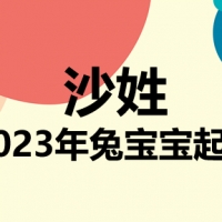 沙姓兔宝宝男孩女孩取名大全2023年