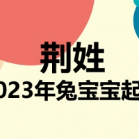 荆姓兔宝宝男孩女孩取名大全2023年