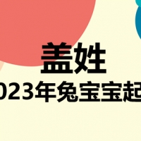 盖姓兔宝宝男孩女孩取名大全2023年