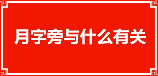 月字旁的字与什么有关 月字旁的字有哪些