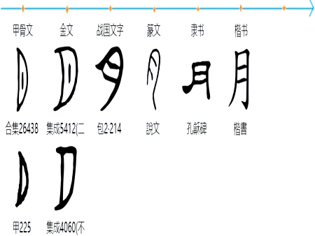 月字旁的字与什么有关 月字旁的字有哪些