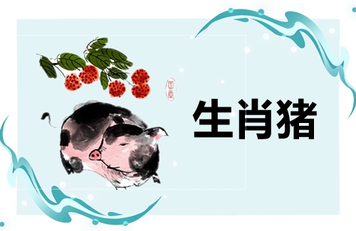 属猪适合生什么属相的宝宝好？