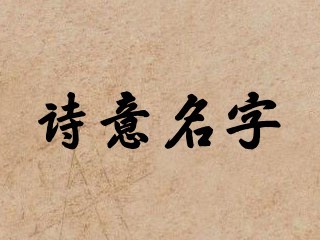 诗意名字