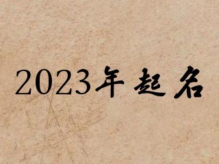 2023年起名