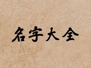 名字大全