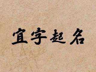 宜字起名